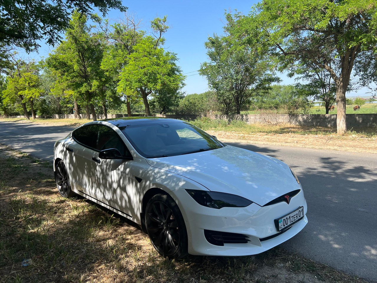 Tesla Model S 2016