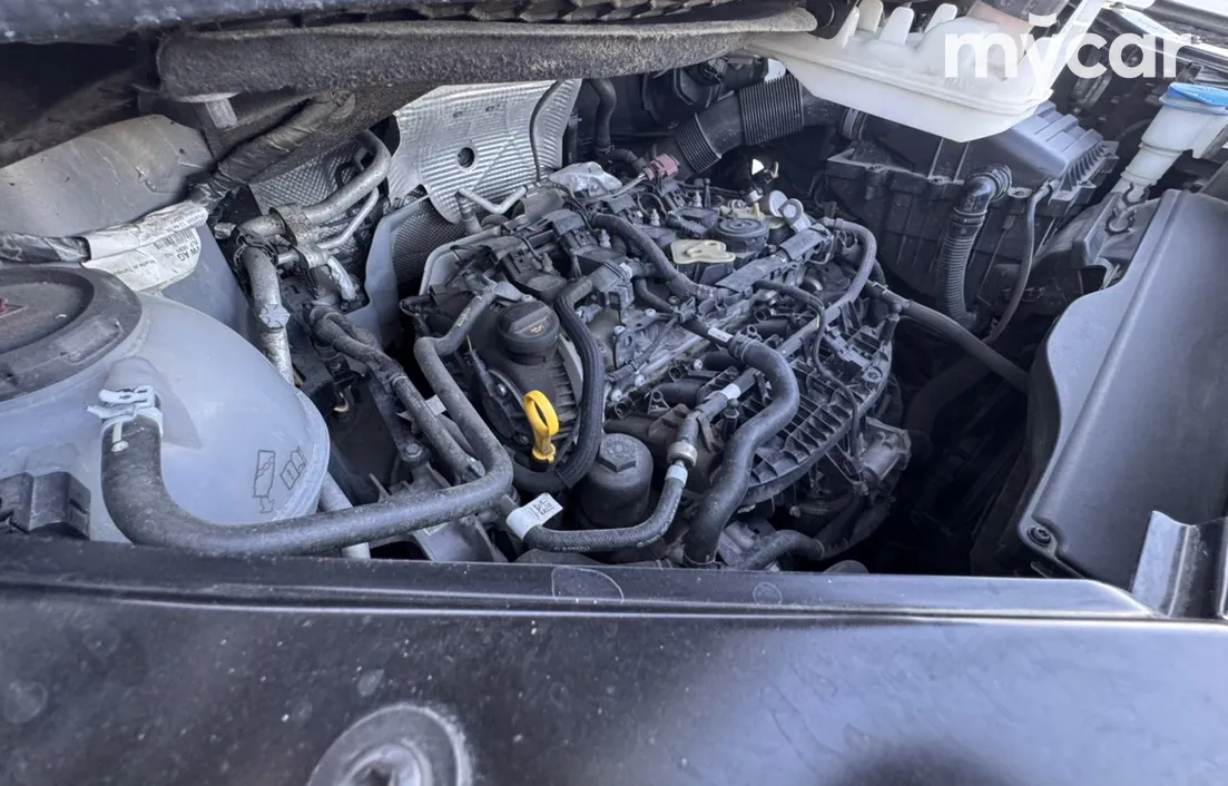 Volkswagen Multivan 2022