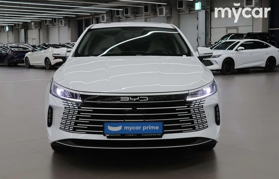 BYD Chazor 2025