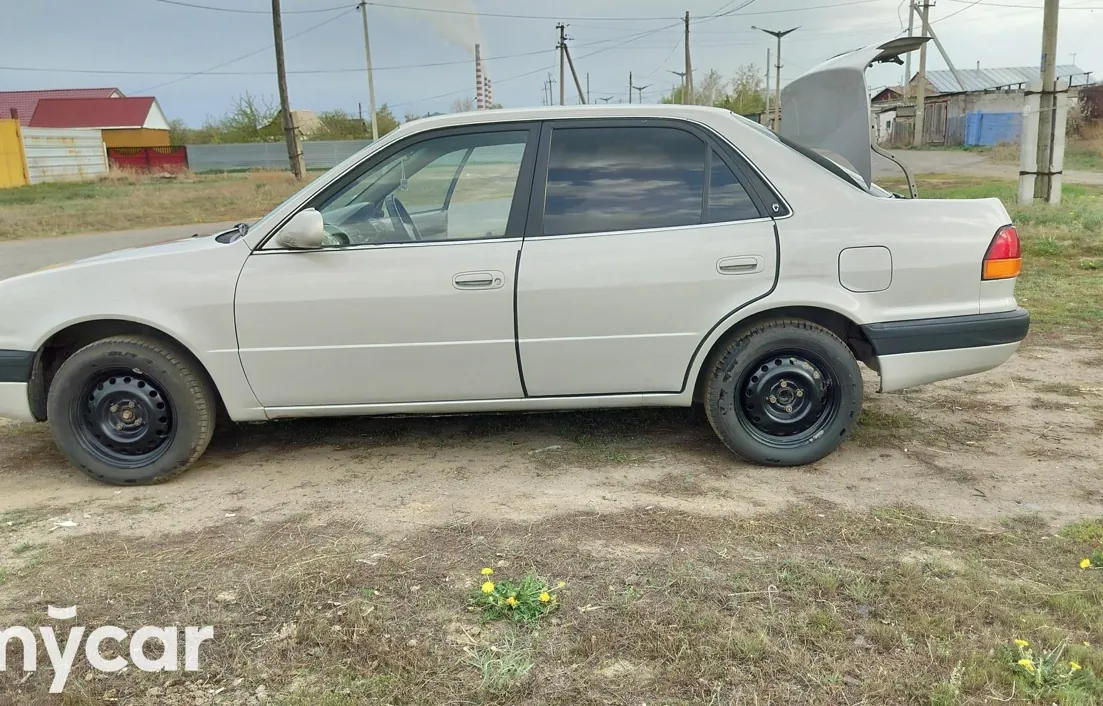 Toyota Corolla 1995