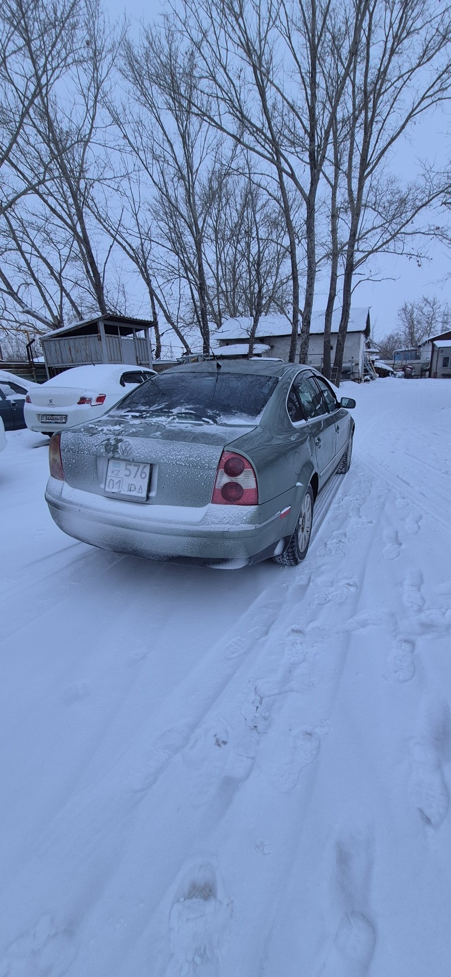 Volkswagen Passat 2001