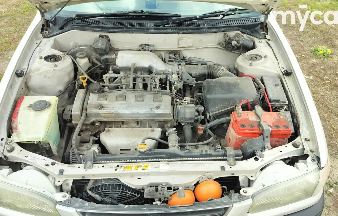 Toyota Corolla 1995