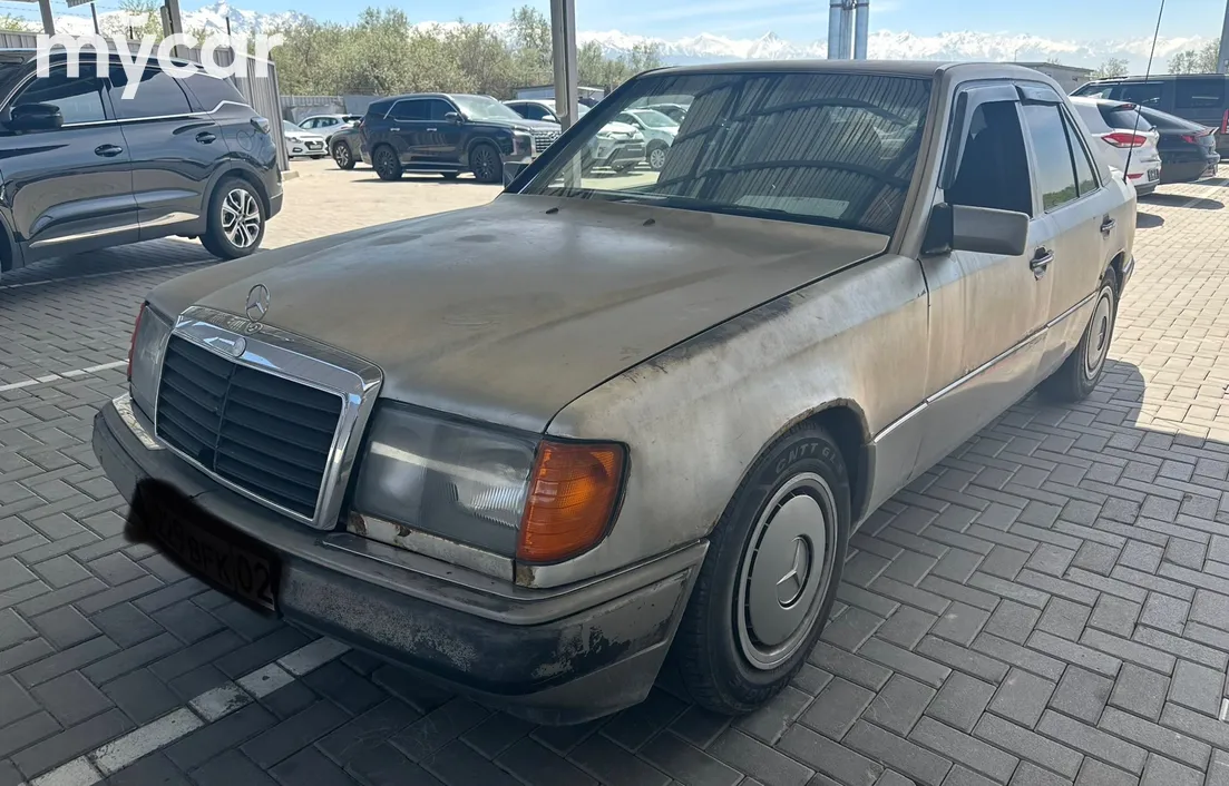 Mercedes-Benz W124 1989