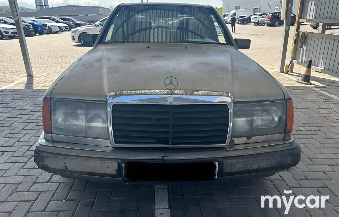 Mercedes-Benz W124 1989