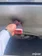 галерея