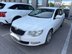 фото Skoda