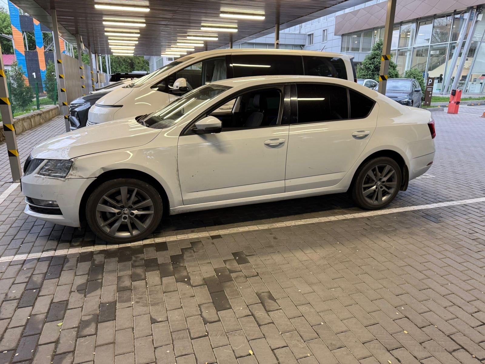 Skoda Octavia 2019