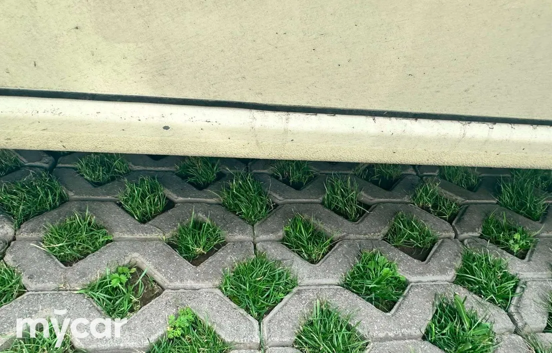 Ravon Nexia R3 2019