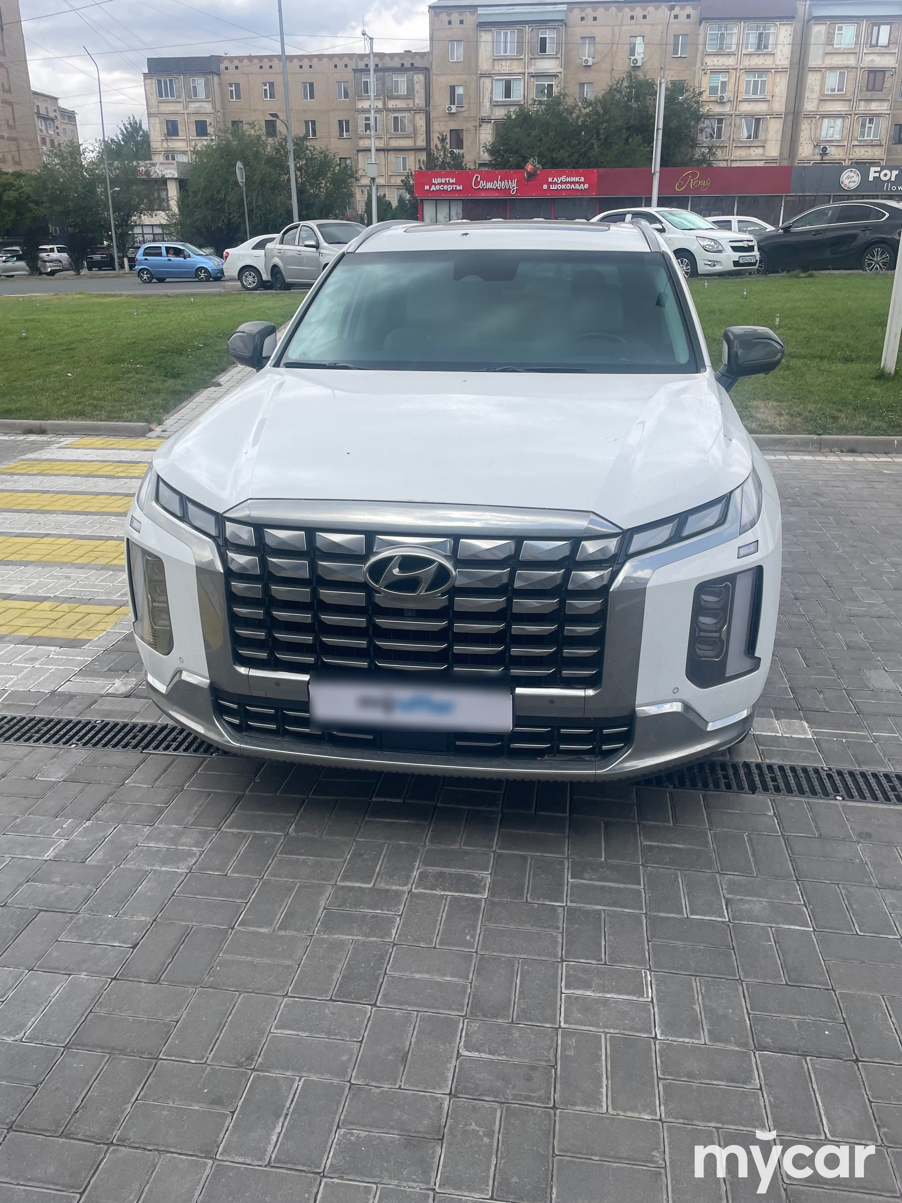 Hyundai Palisade 2022