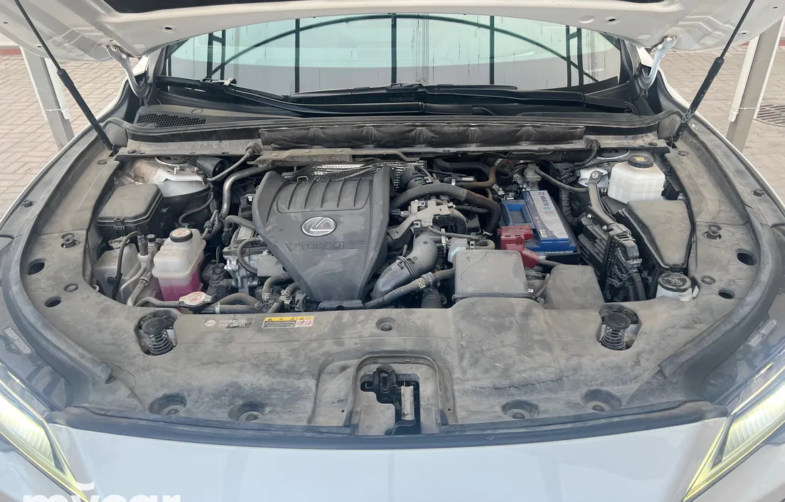 Lexus RX 2022