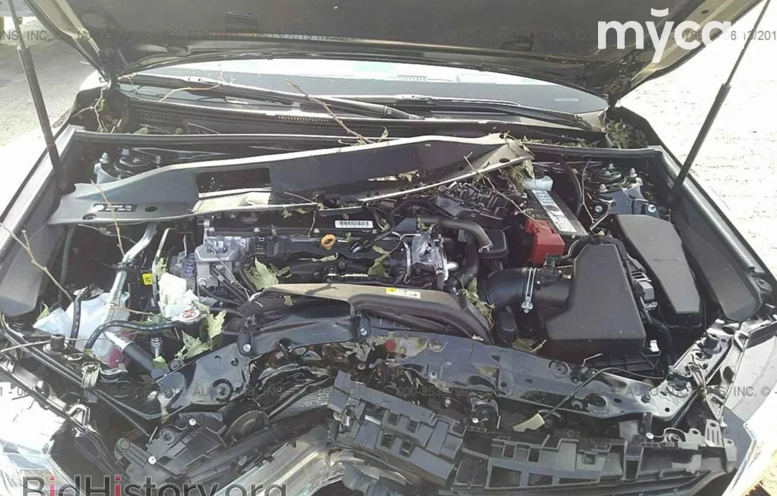Toyota Camry 2019
