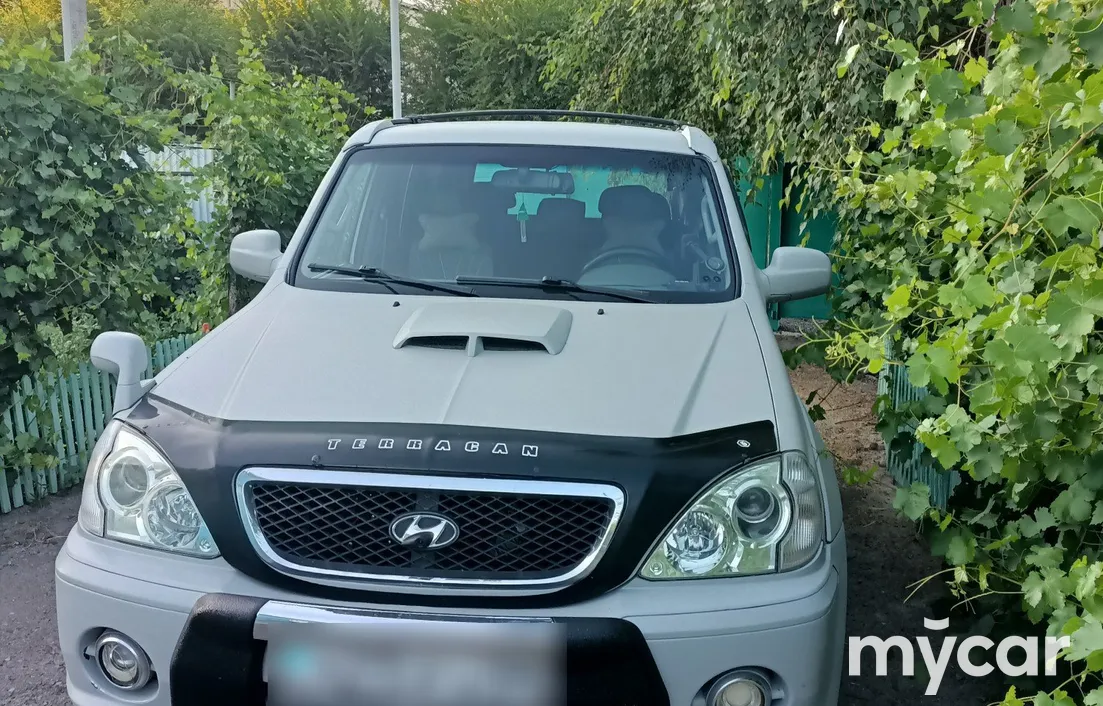 Hyundai Terracan 2004