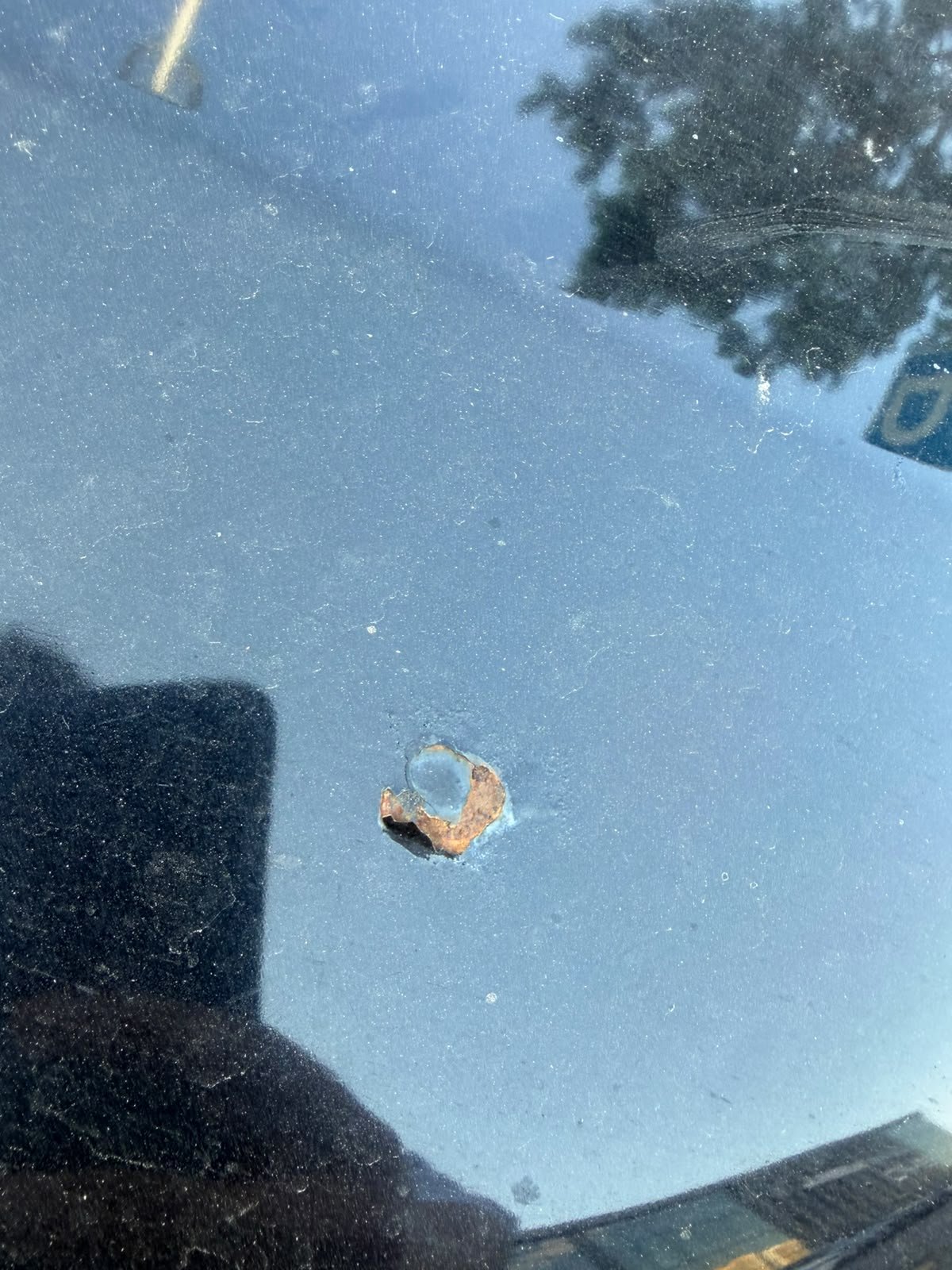 Volkswagen Polo 2014