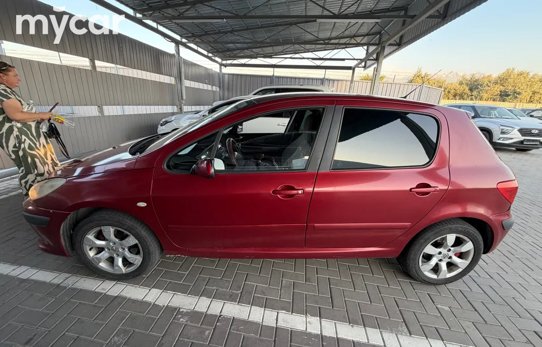 Peugeot 307 2006
