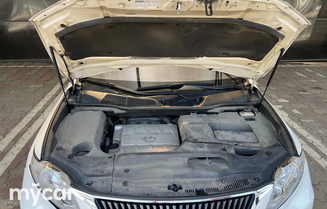 Lexus RX 2010