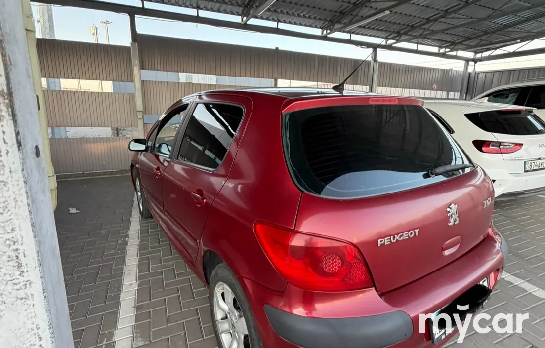 Peugeot 307 2006