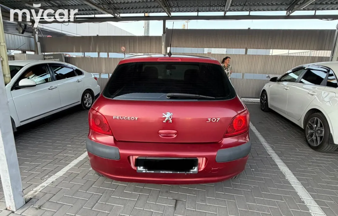 Peugeot 307 2006