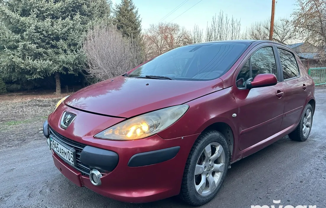 Peugeot 307 2006