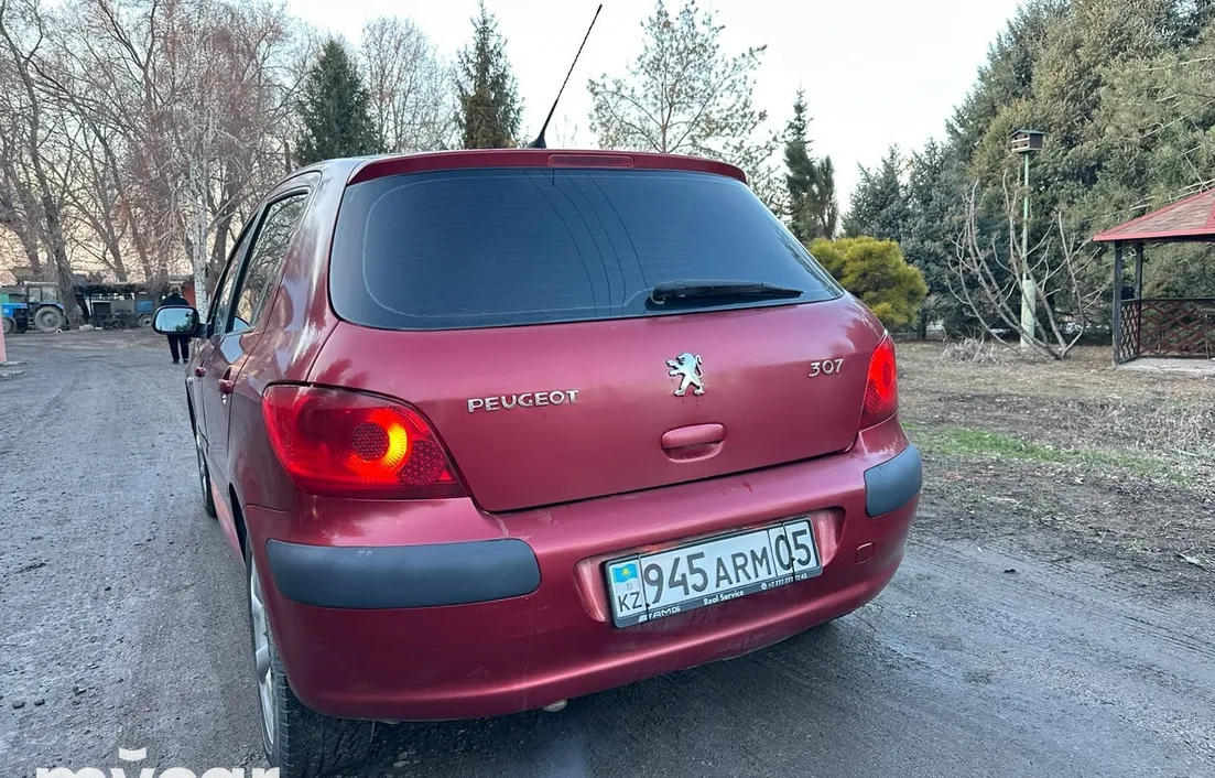 Peugeot 307 2006