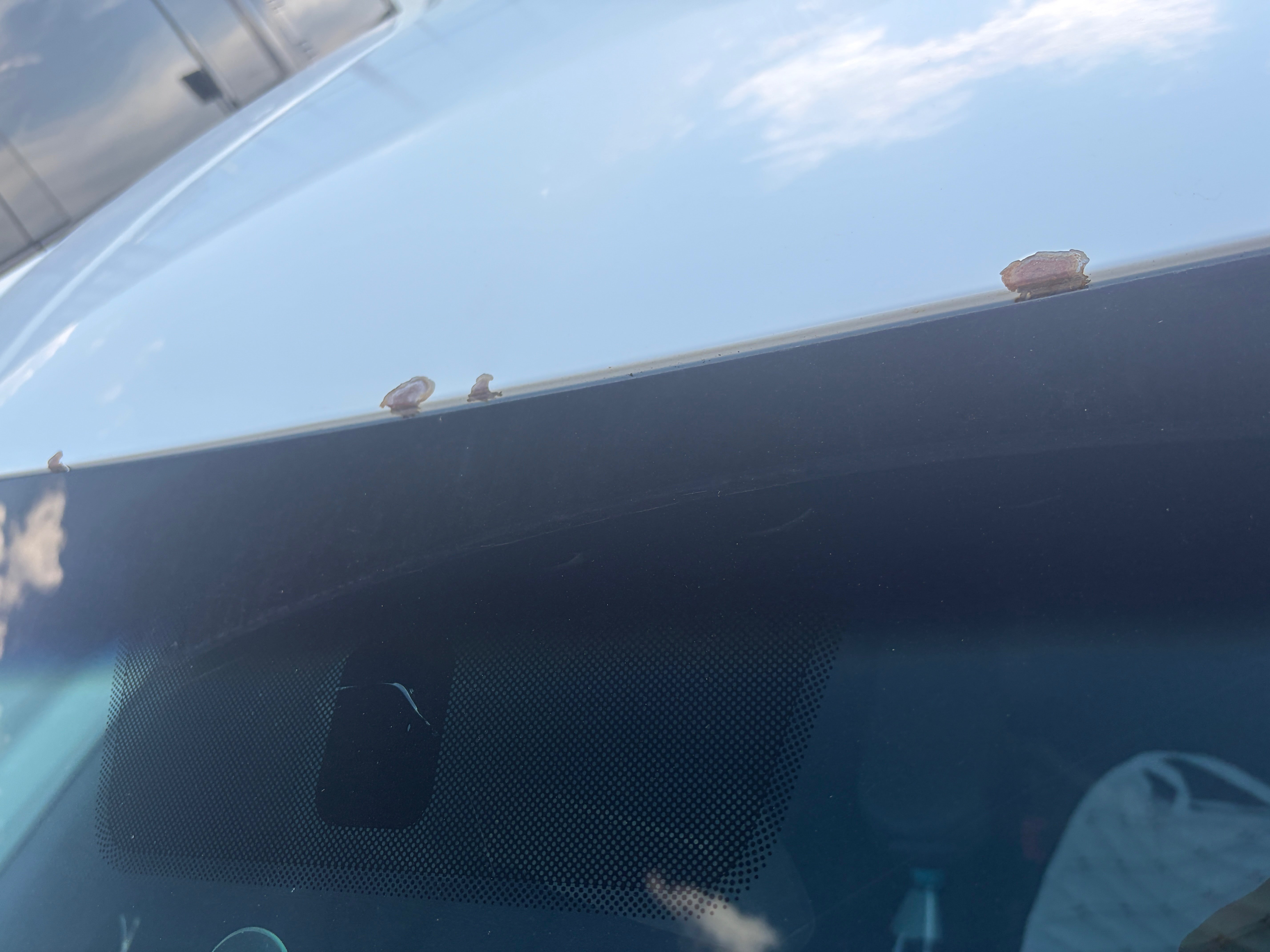 Volkswagen Polo 2014