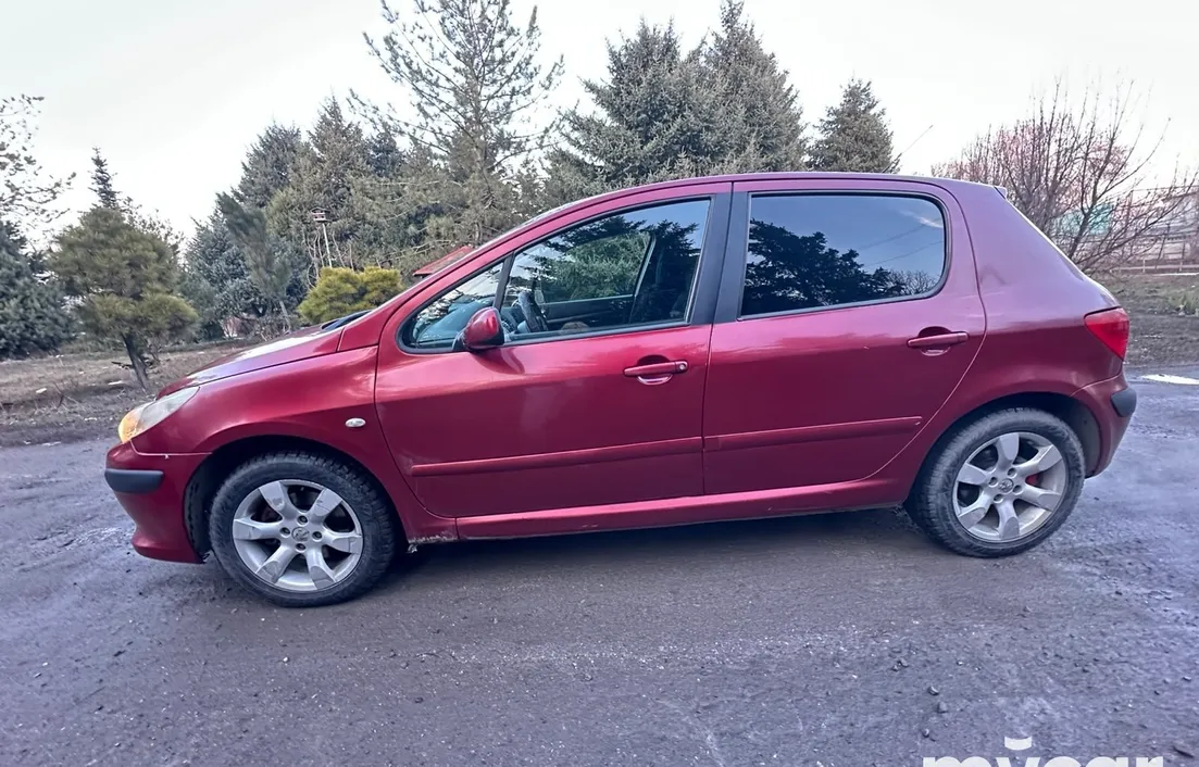 Peugeot 307 2006