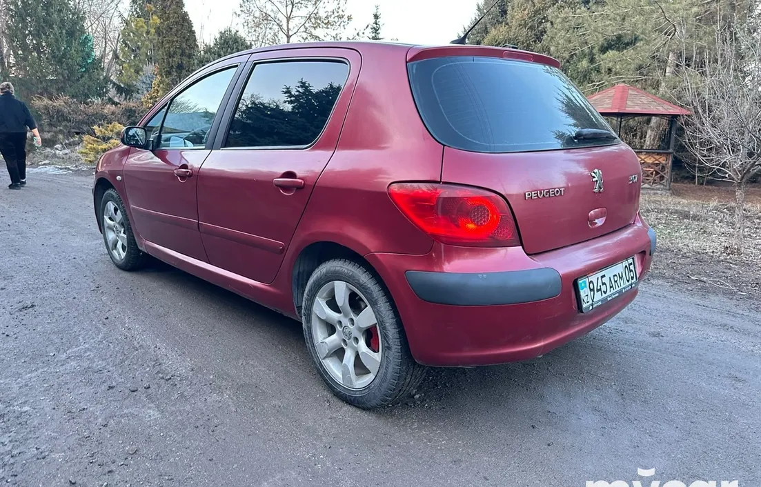 Peugeot 307 2006