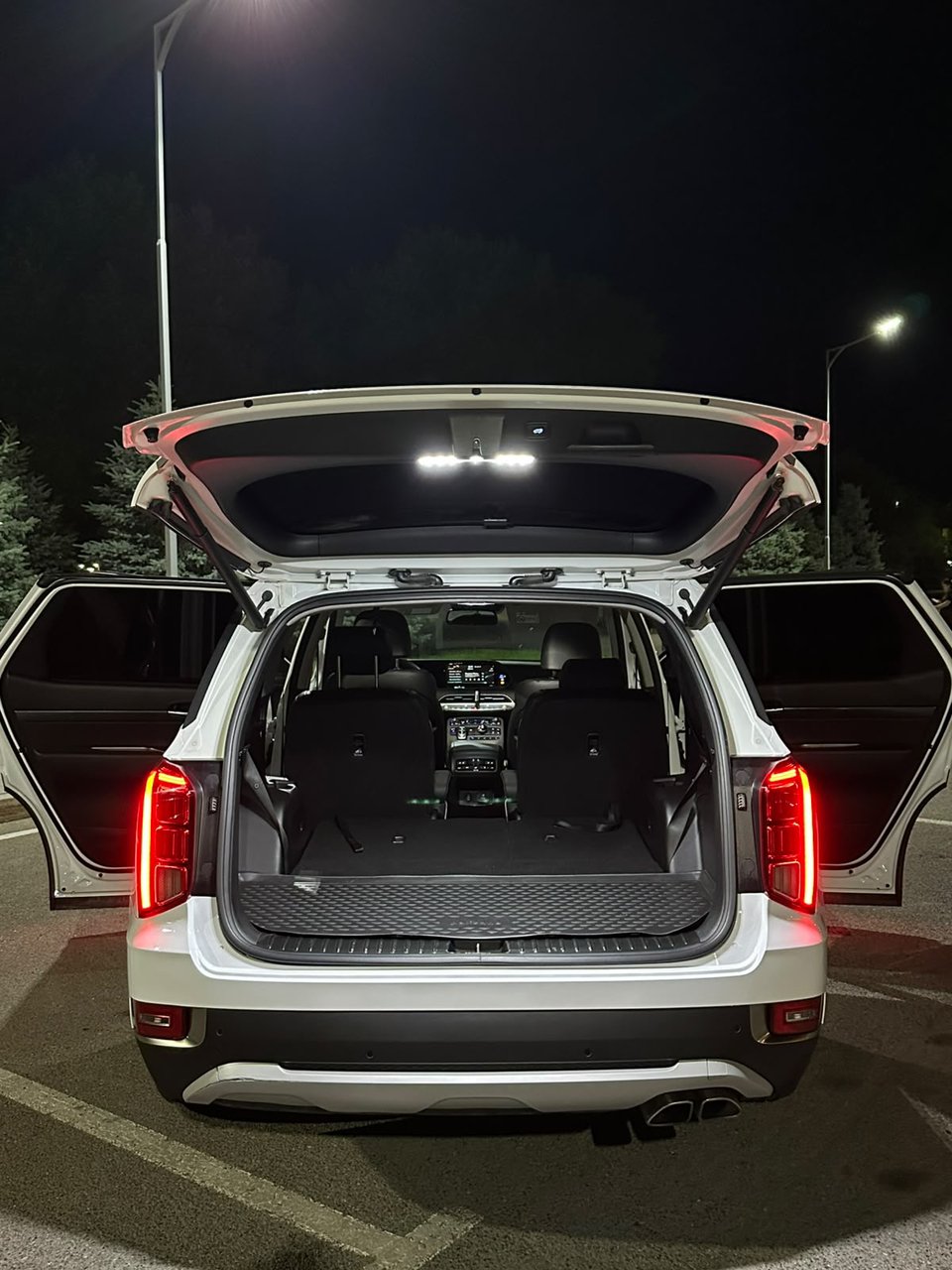 Hyundai Palisade 2021