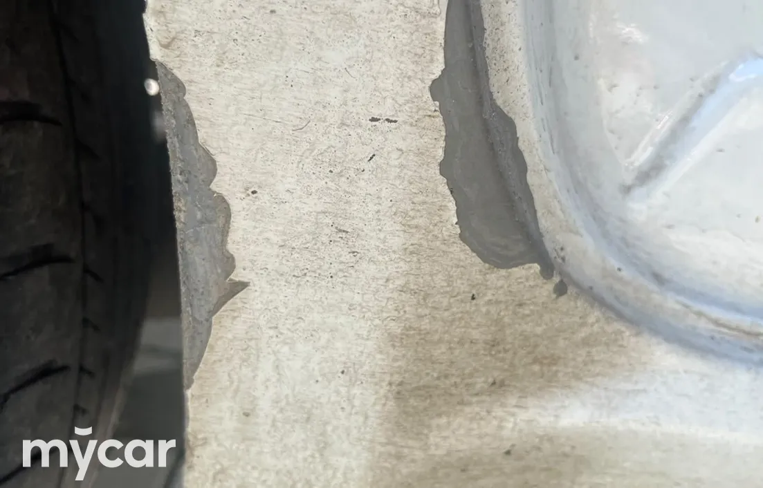 Ravon Nexia R3 2019