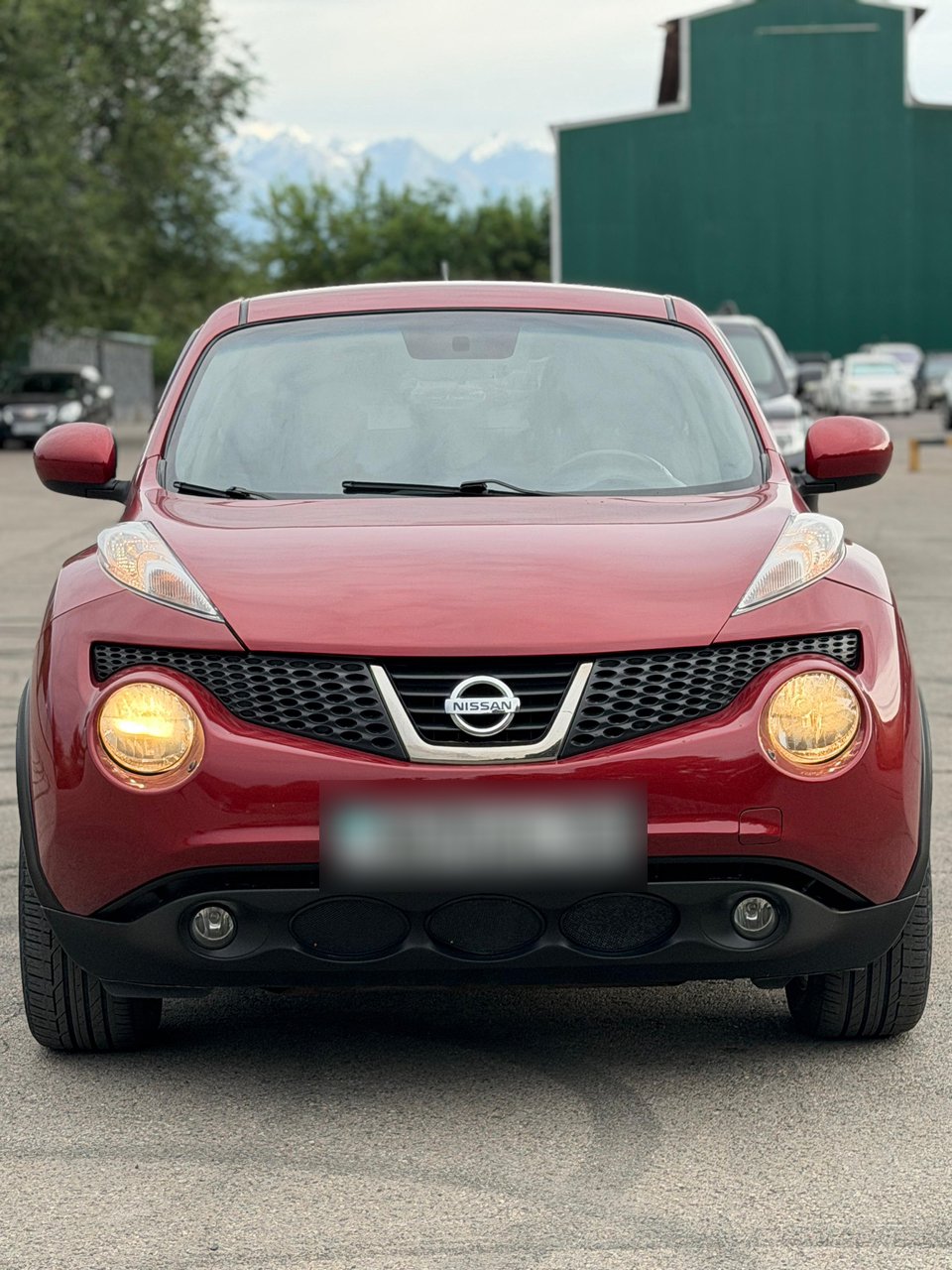 Nissan Juke 2013