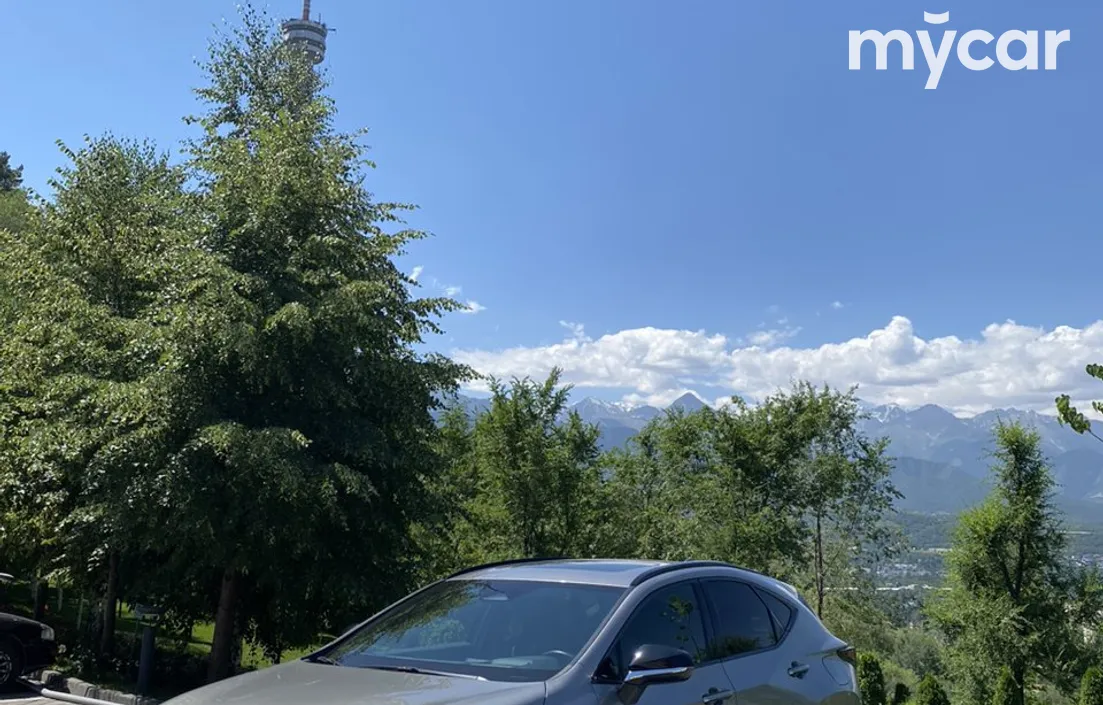 Lexus NX 2022