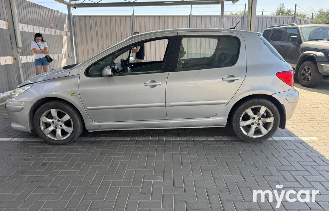 Peugeot 307 2007