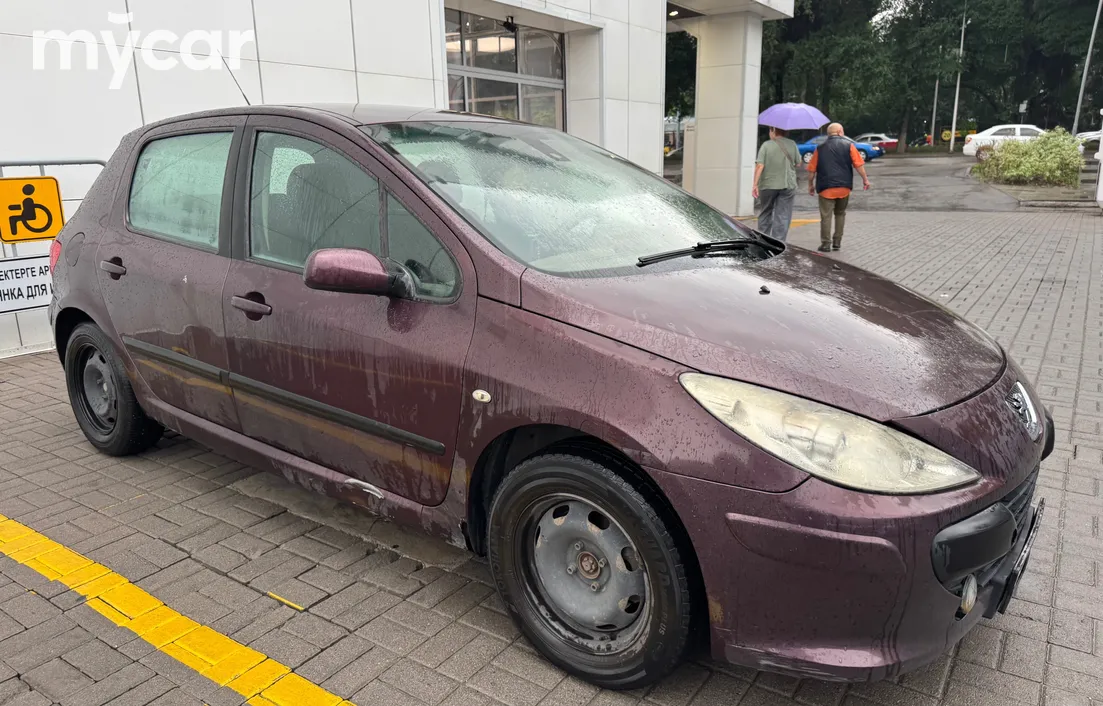Peugeot 307 2006