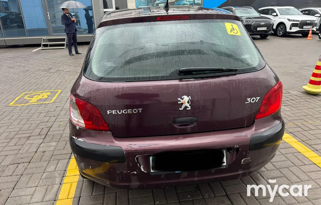 Peugeot 307 2006