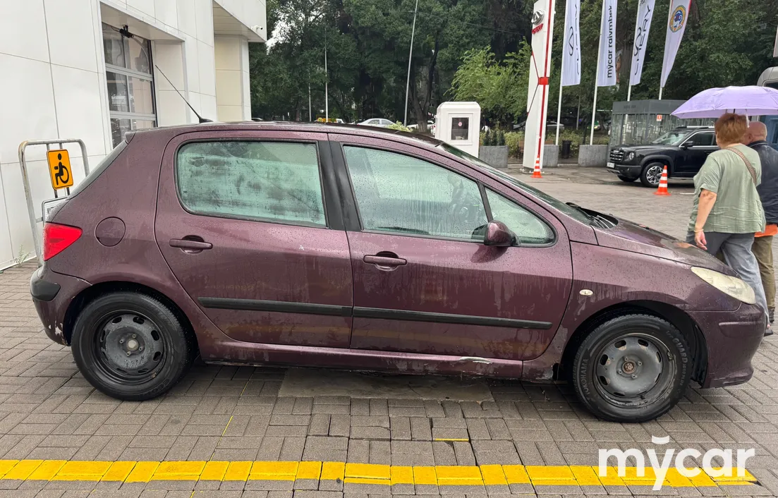 Peugeot 307 2006