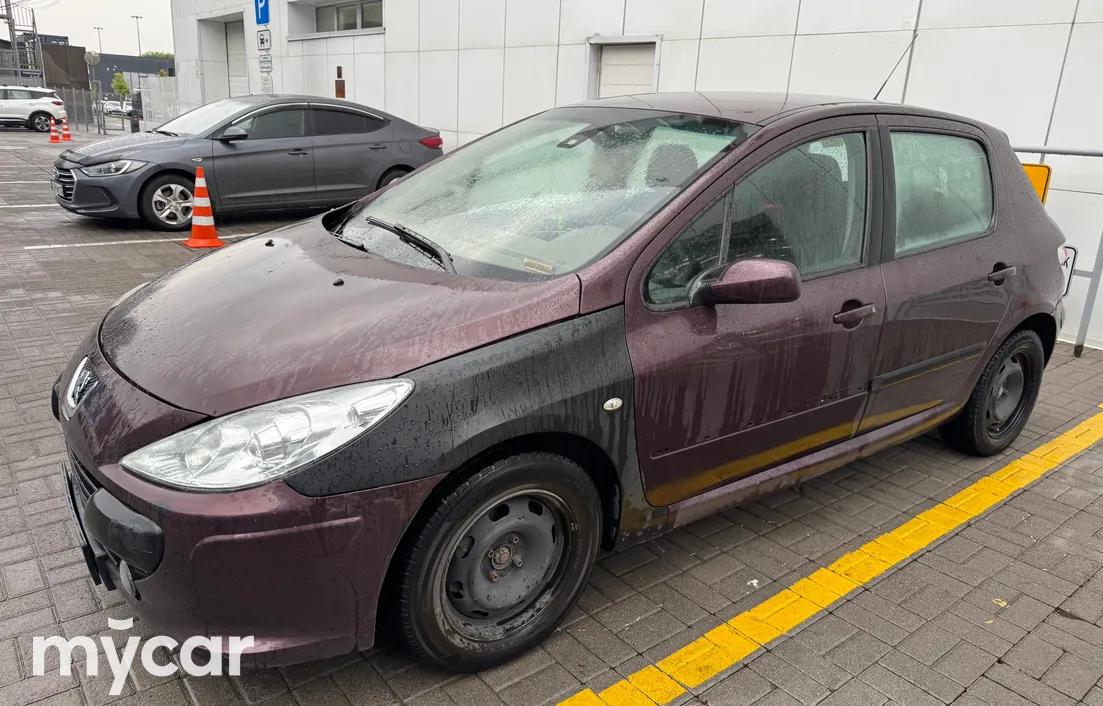 Peugeot 307 2006