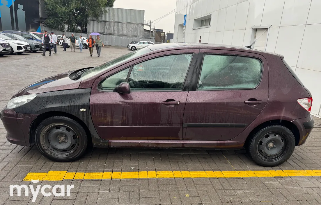 Peugeot 307 2006
