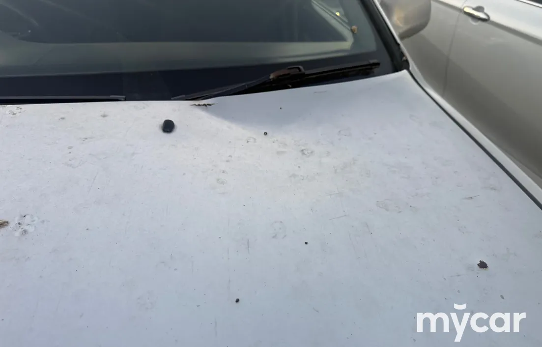 Toyota Camry 1995