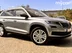 фото Skoda