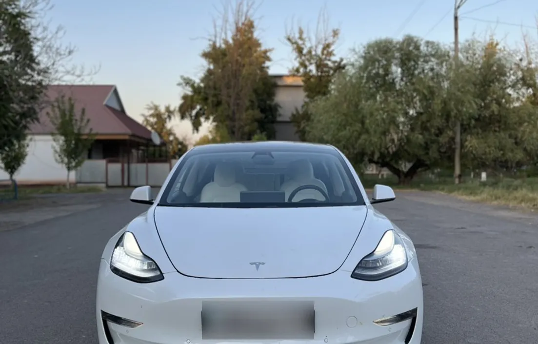 Tesla Model 3 2020