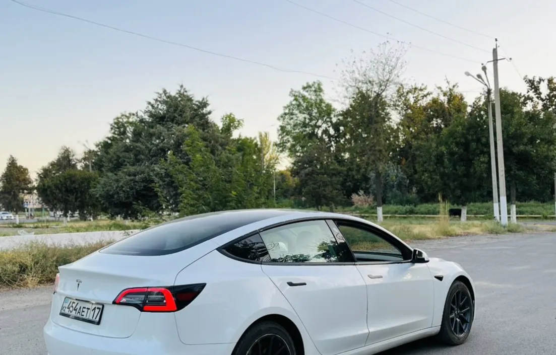 Tesla Model 3 2020