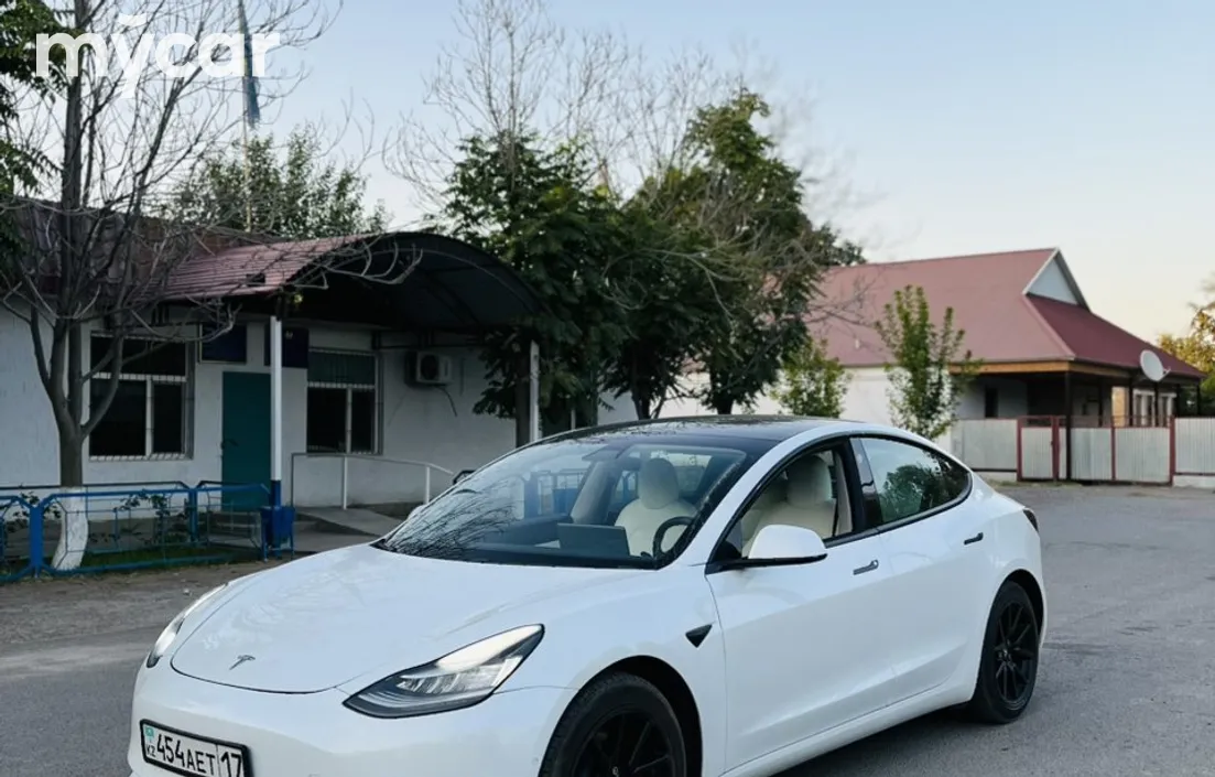Tesla Model 3 2020