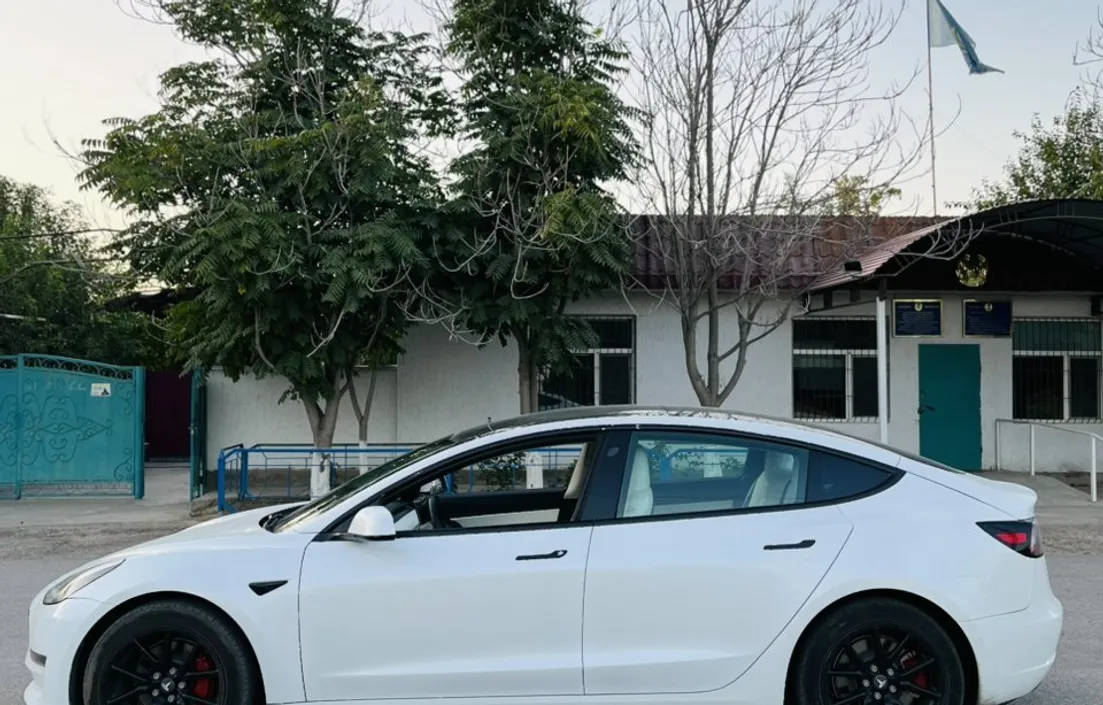 Tesla Model 3 2020