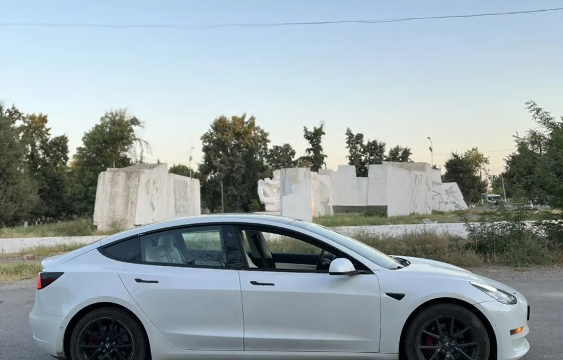 Tesla Model 3 2020