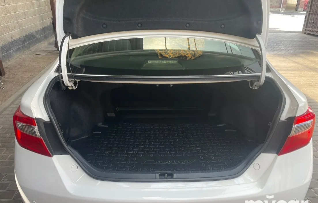 Toyota Camry 2013