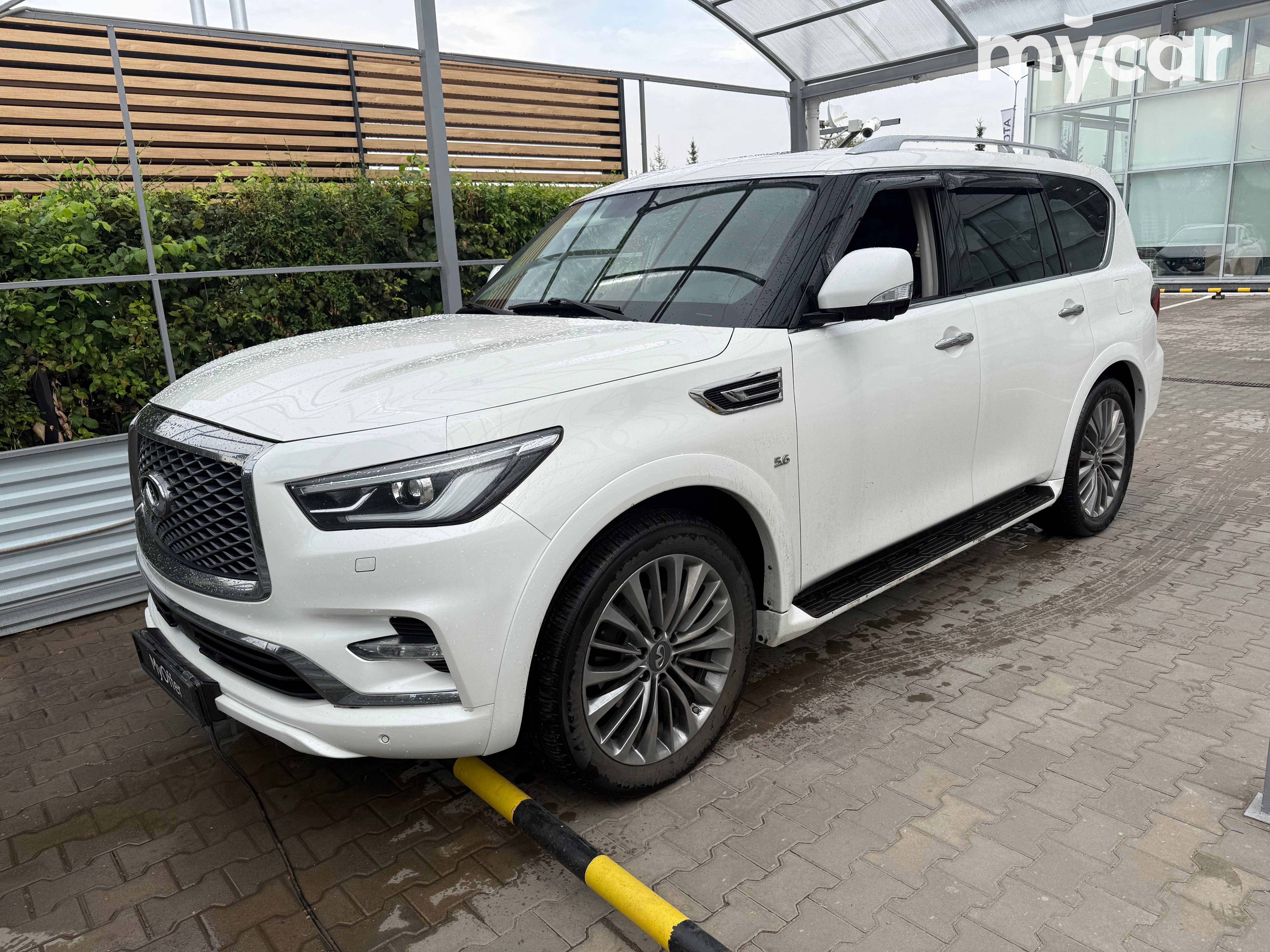 Infiniti QX80 2019